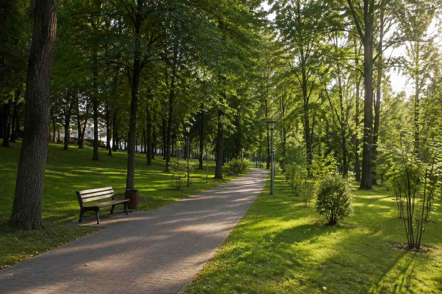https://shchyolkovo.blago-s.ru/storage/app/uploads/public/6a7/eef/ed2/6a7eefed2af22038960370.jpg